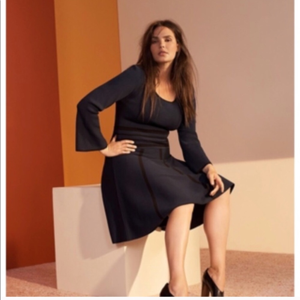 Fit and flare plus size dress